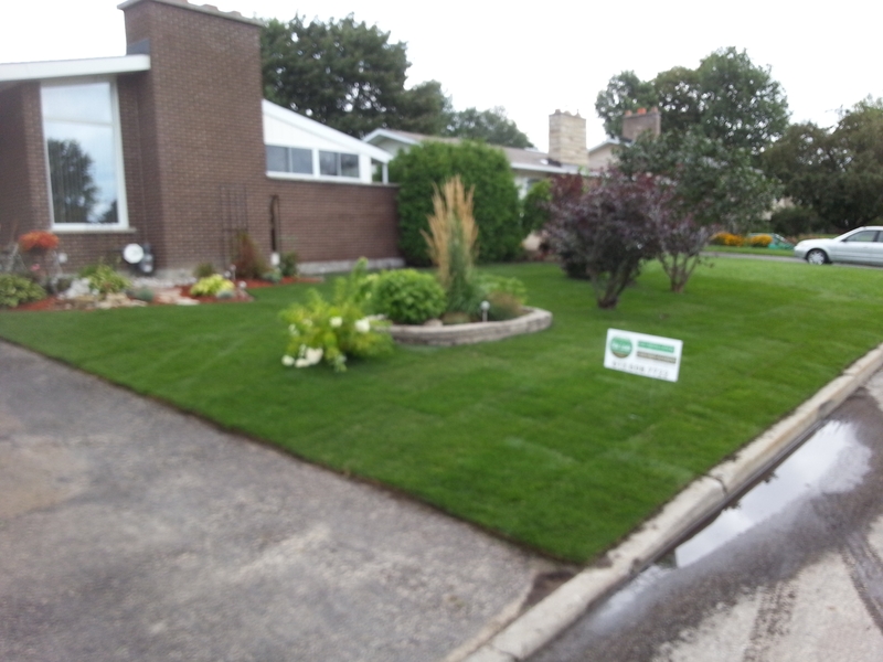 102%20Old%20Colony%20Road%20After%20Sod%20Installation%20Ottawa