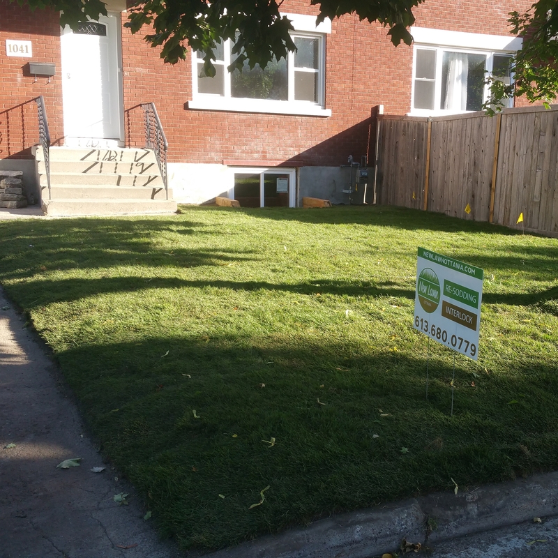 1064%20aldea%20front%20lawn%20sod%20installation