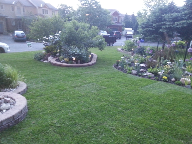 17%20Folison%20front%20lawn%20after%20resodding