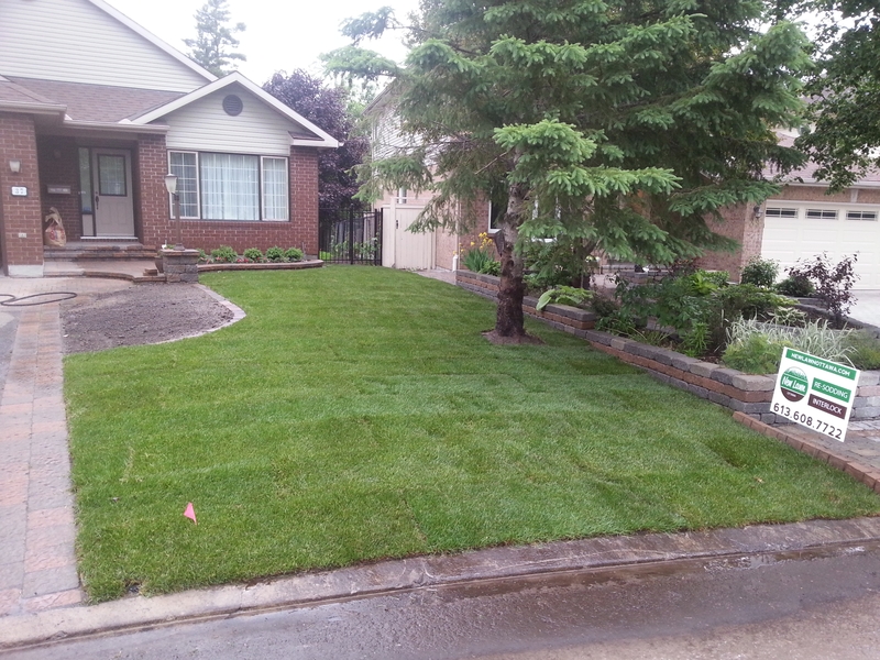 37%20Bramblewood%20front%20lawn%20new%20grass