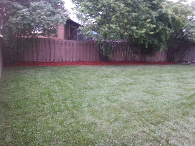 50%20Thare%20Back%20lawn%20freshly%20laid%20sod