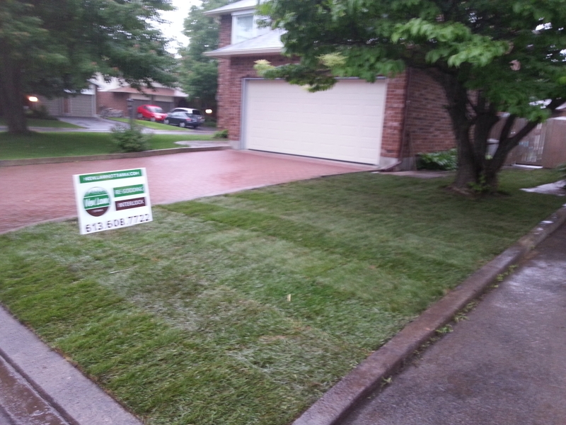 50%20Thare%20front%20lawn%20striped%20with%20new%20sod