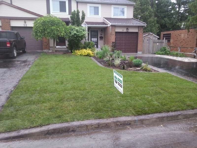 52%20Wessex%20front%20lawn%20with%20new%20sod