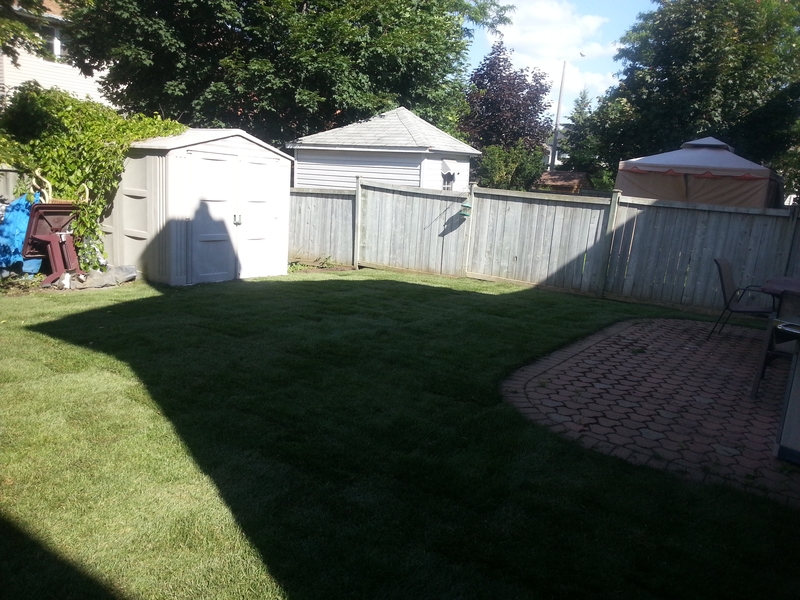 5%20Long%20Gate%20Back%20yard%20After%20Sod%20Install