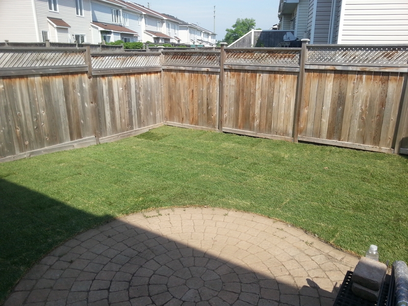 5%20Marcay%20backyard%20with%20new%20grass