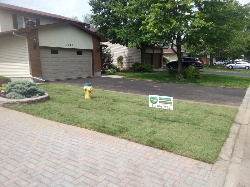 6072%20Vineyard%20After%20Sod%20Install