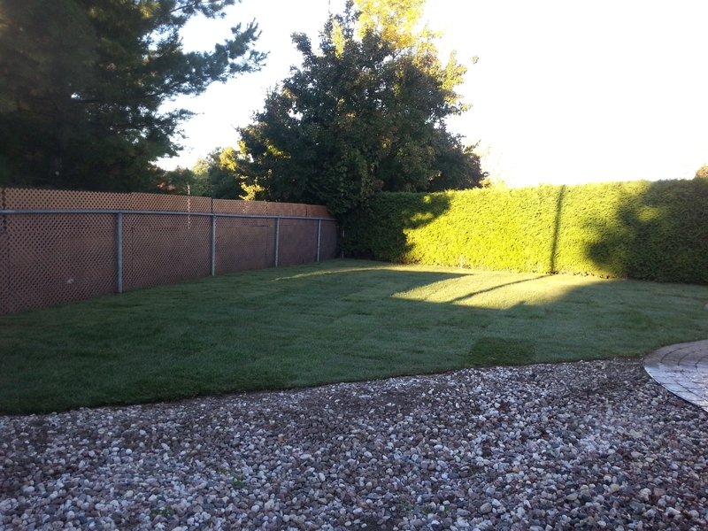 617%20Glenside%20After%20Sod%20Installation%20Ottawa