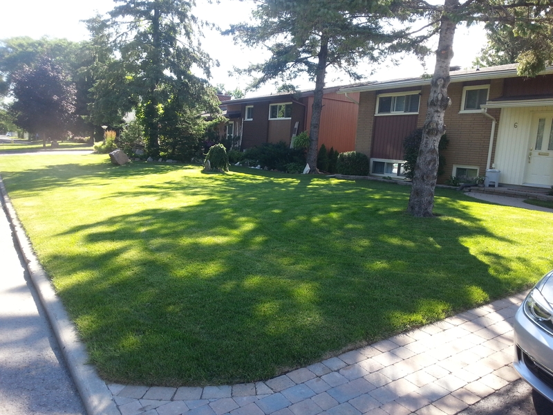6%20Wigan%20front%20lawn%20After%20Sod%20Install