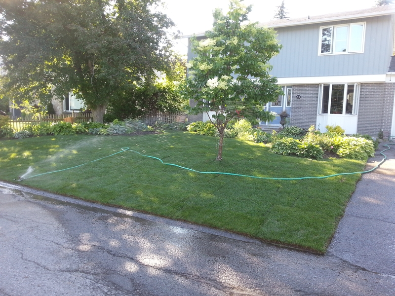 97%20Desmond%20After%20sod%20install