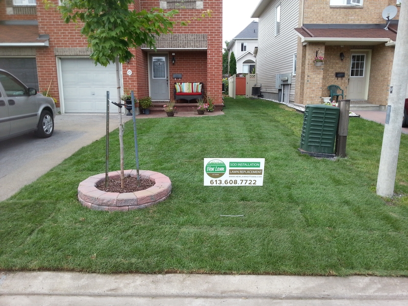 9%20Villandry%20Front%20lawn%20After%20Sod