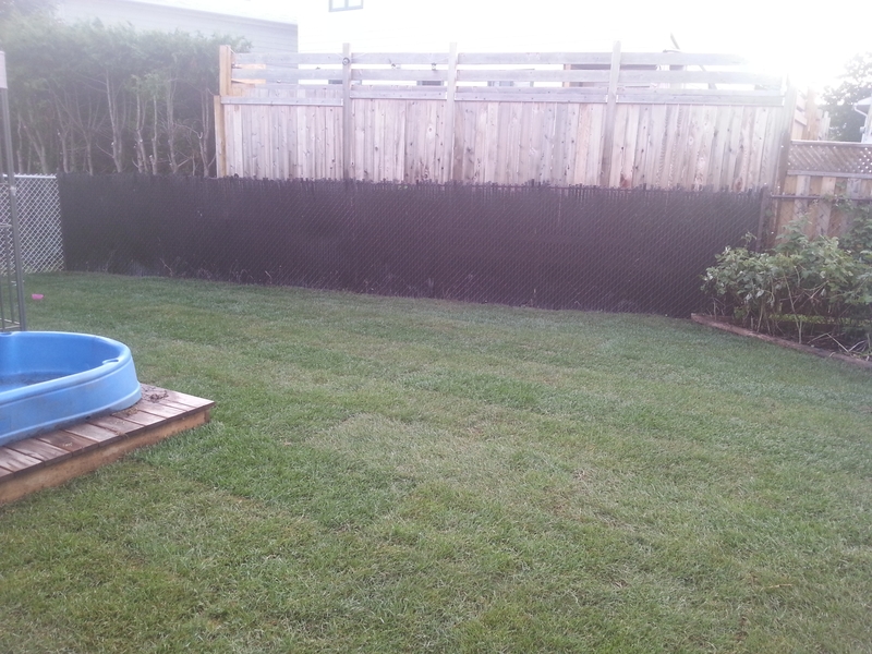 back%20lawn%20kanata%20re-sodding