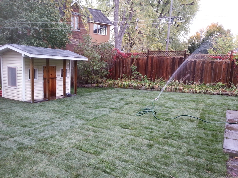 back%20lawn%20new%20grass%20being%20watered