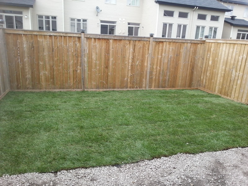 back%20lawn%20new%20sod%20and%20GA