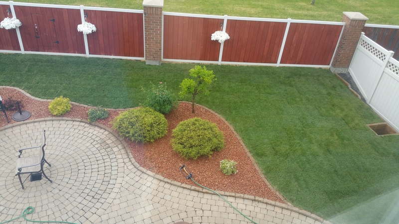 back%20lawn%20new%20sod%20birds%20eye%20view