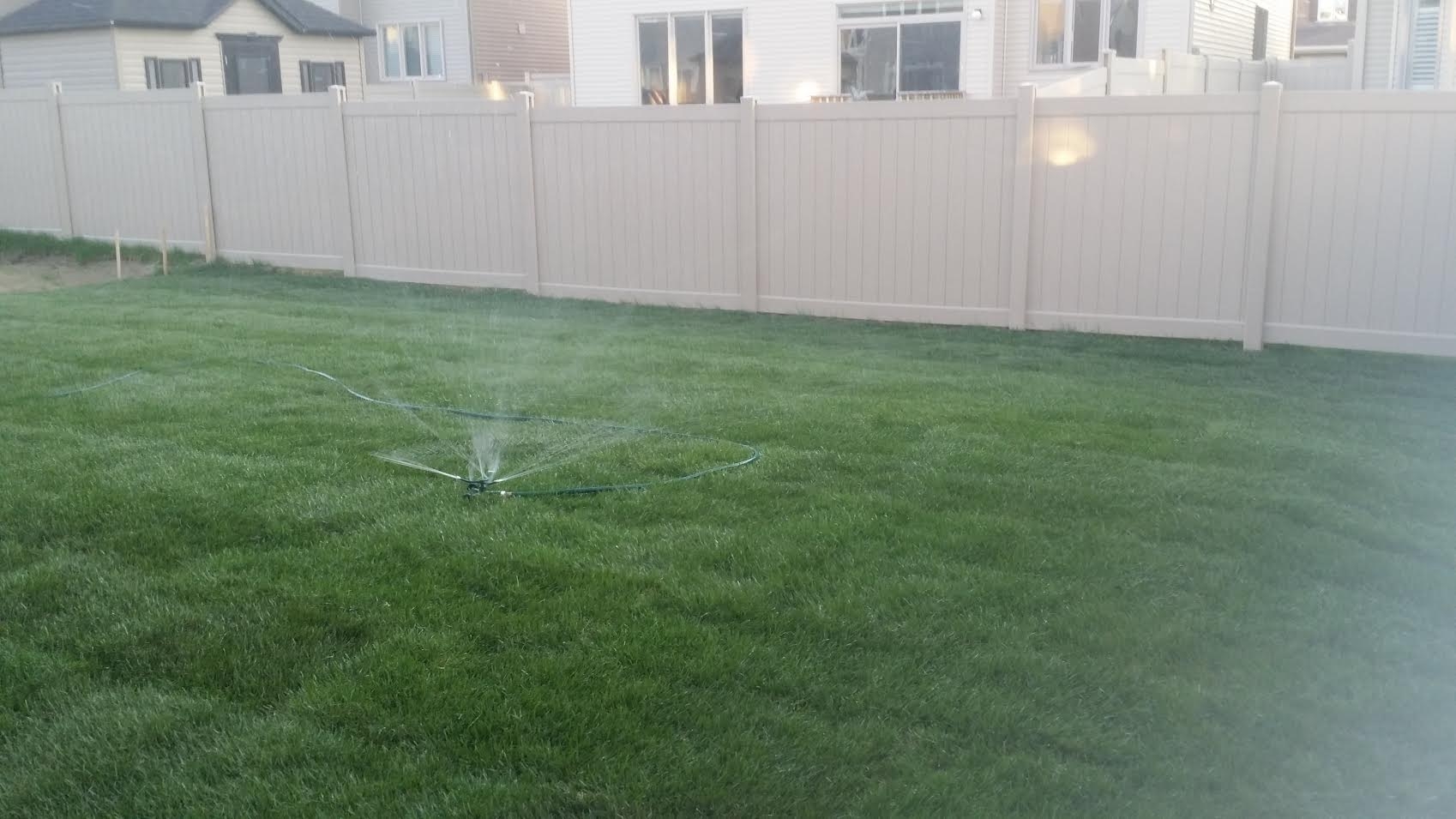 back%20yard%20being%20watered%20for%20new%20grass