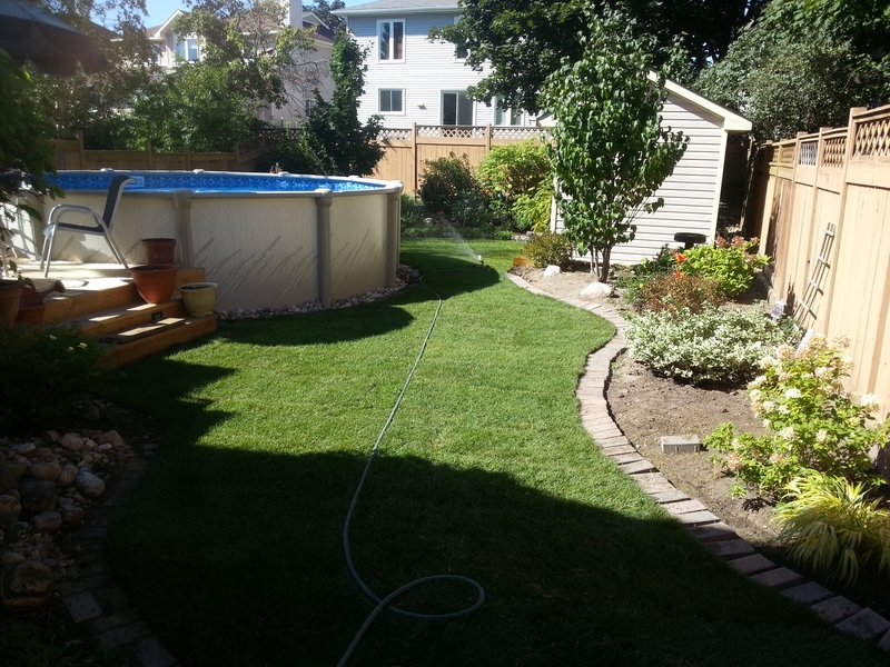 back%20yard%20with%20above%20ground%20pool%20after%20laying%20sod