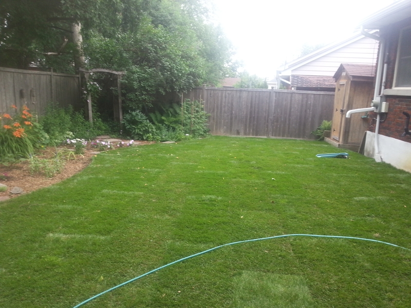 back%20yard%20with%20gardens%20on%20left%20side