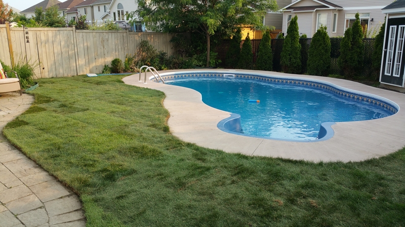 barrhaven%20back%20yard%20pool%20sod%20installation