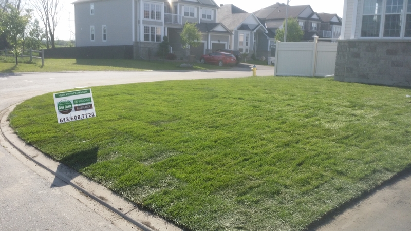 corner%20lot%20new%20sod%20on%20lawn