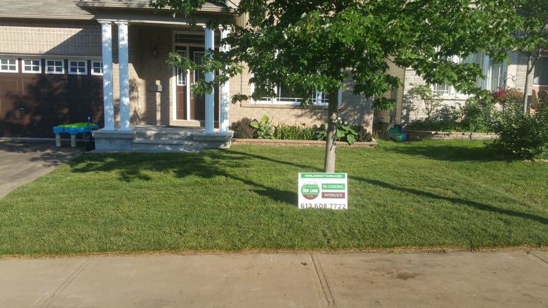 findlay%20creek%20front%20lawn%20new%20sod