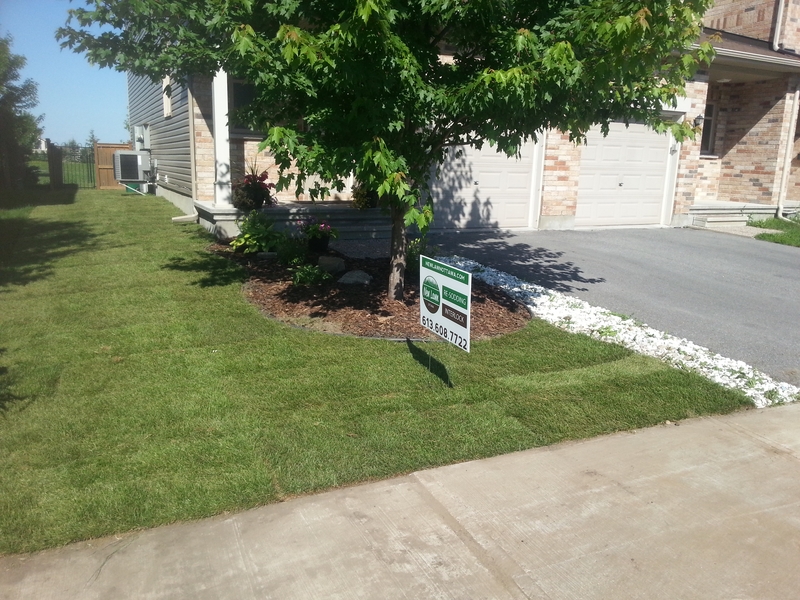 front%20and%20side%20lawn%20sod%20installation