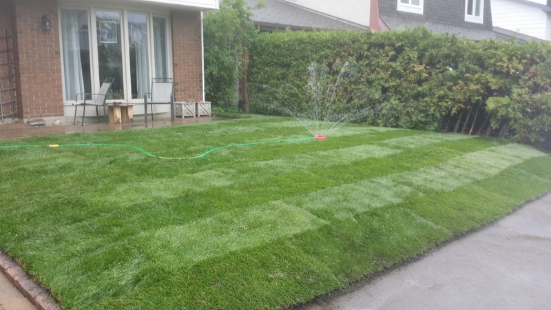 front%20lawn%20striped%20new%20grass