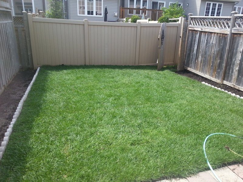 gardens%20on%20left%20and%20right%20sides%20with%20new%20grass%20back%20yard
