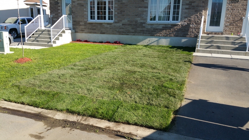 gatineau%20front%20lawn%20re-sodded