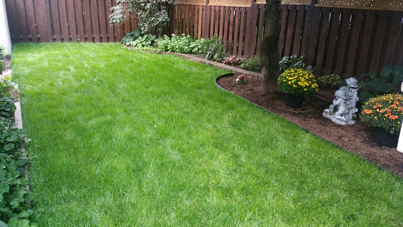 green%20lawn%20back%20yard%20re-sodded