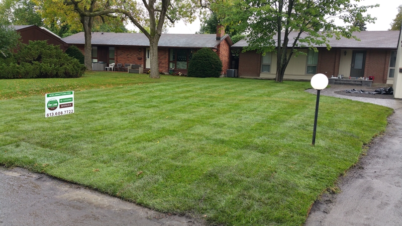 huge%20front%20lawn%20with%20new%20installed%20sod