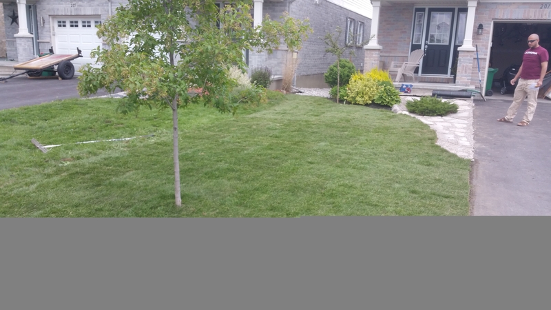 kanata%20front%20lawn%20sod%20install