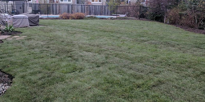 large%20back%20yard%20after%20new%20sod%20and%20re-grading%20findlay%20creek%20ottawa