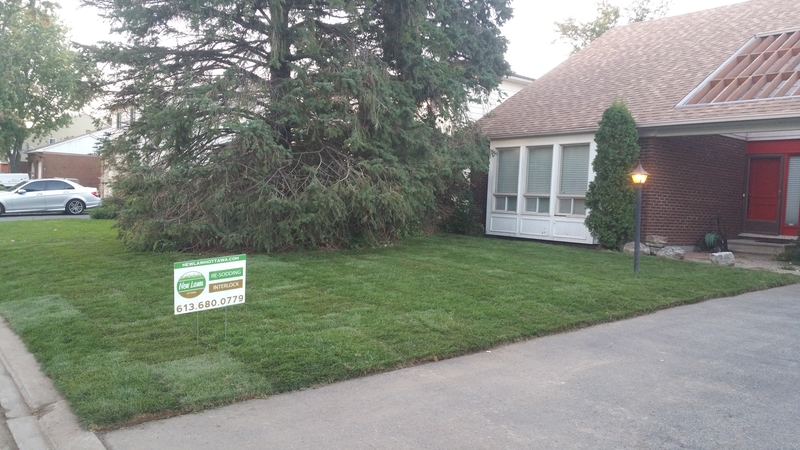 large%20front%20lawn%20flat%20with%20re-sodding