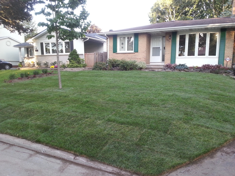 large%20fton%20lawn%20bungalow%20after%20sod%20installation