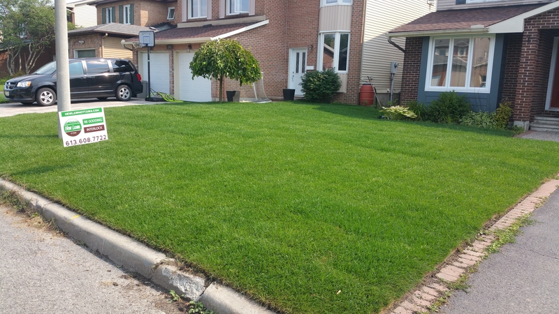 large%20green%20new%20front%20lawn