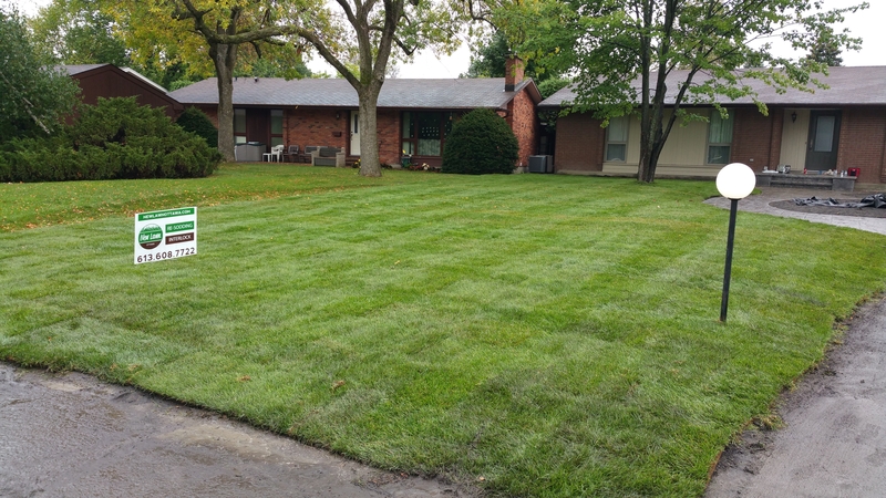 large%20new%20front%20lawn%20moodie%20drive