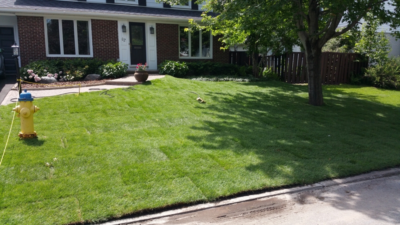 lots%20of%20gradding%20work%20to%20fix%20new%20lawn