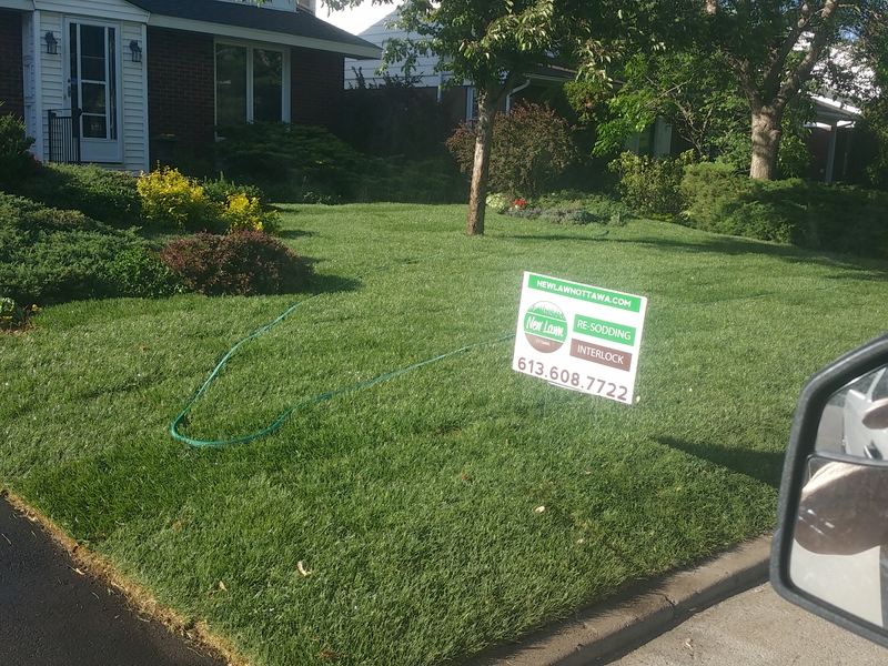 nepean%20front%20lawn%20sod%20installation