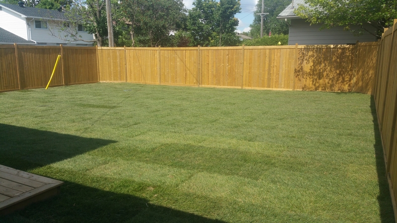 new%20grass%20and%20fence%20in%20nepean%20back%20yard