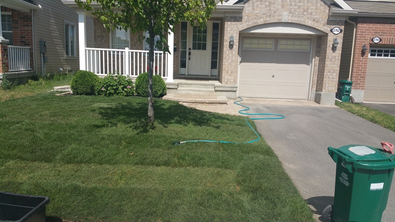 new%20sod%20lawn%20single%20family%20home