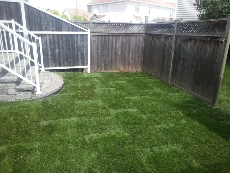 new%20sod%20town%20home%20back%20yard%20grading%20to%20steps