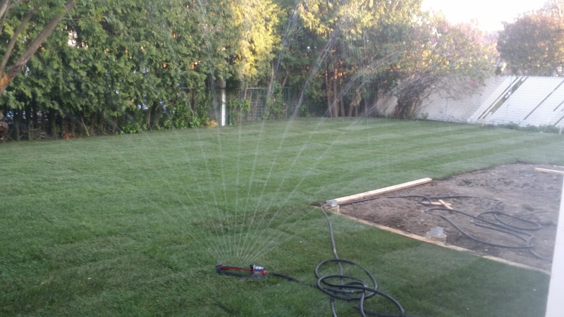 new%20sod%20watered%20in%20back%20yard