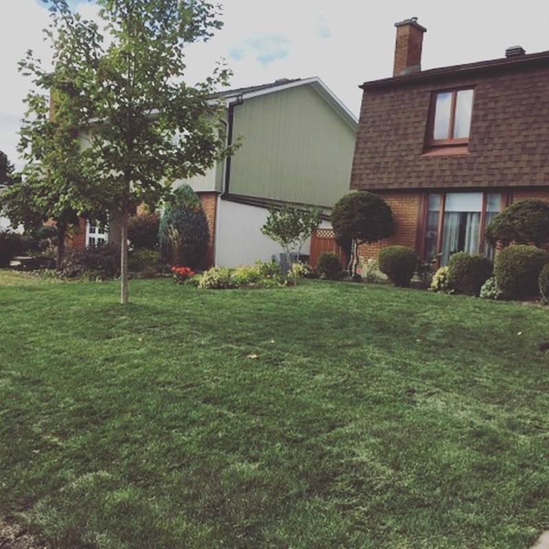 old%20orleans%20front%20lawn%20sod%20install