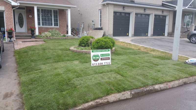 orleans%20shared%20front%20lawn%20re-sodding