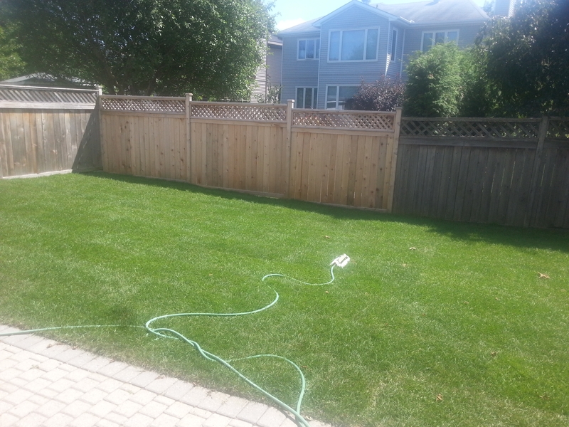 petersens%20sod%20installed%20in%20long%20back%20lawn%20barrhaven