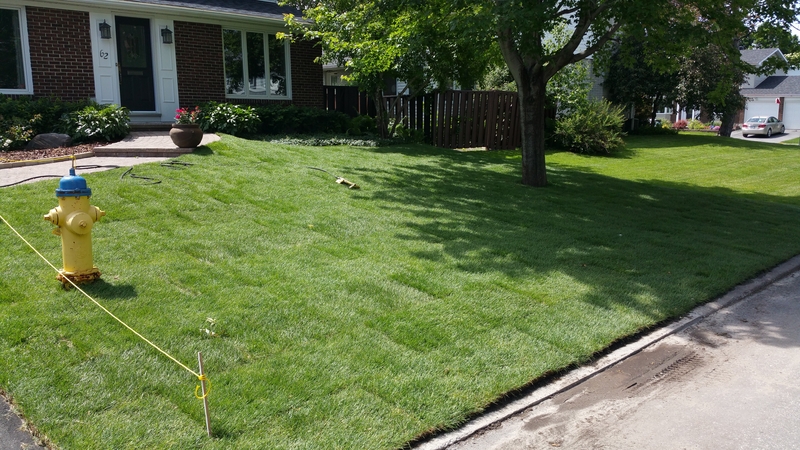 re-gradding%20and%20sod%20installation%20on%20front%20lawn%20pinecrest