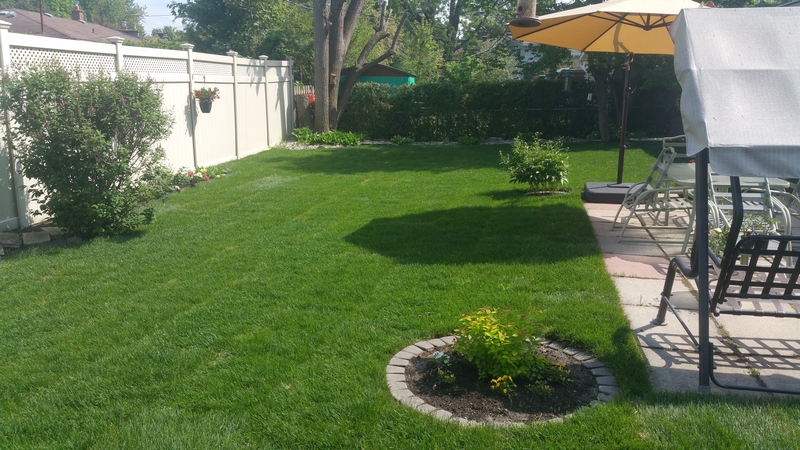 re-sodded%20large%20back%20lawn