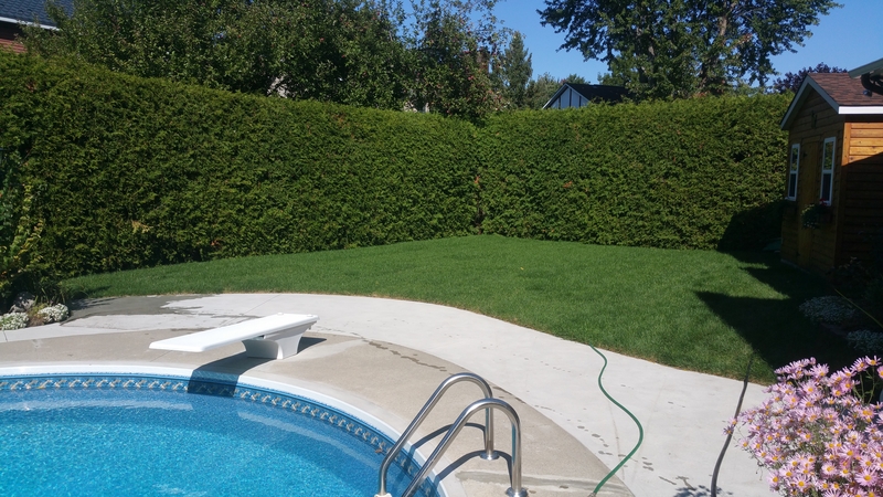 re%20gradding%20around%20a%20pool%20and%20new%20sod%20layed