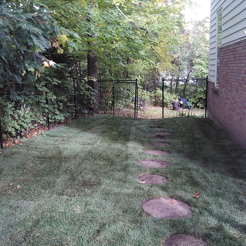 rockcliffe-park-side-yard-sod-install