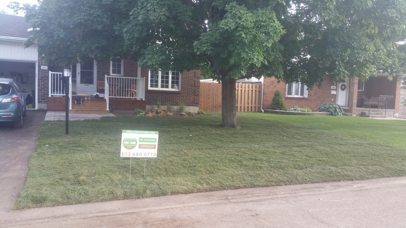 shady%20front%20lawn%20re-sodded%20with%20fescue%20sod